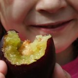 Les Suisses consomment environ 1,5 kilo de pruneaux par personne et par année (archives).